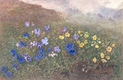 Bahar Dağ Çiçekleri, 1896 by Kate fl.1873 96 Goodwin