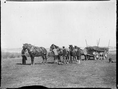 Broomfield, Broomfield ve Kingswood, Maidstone, Kent, 06/04/1904 (s/b fotoğraf) by Katherine Jean Macfee