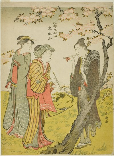 Toei Tepesi (Toeizan), "Edo