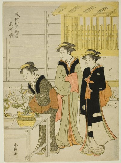 Yakukenbori, teserie