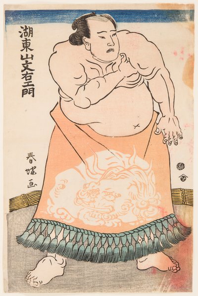 Sumo güreşçisi Kotozan