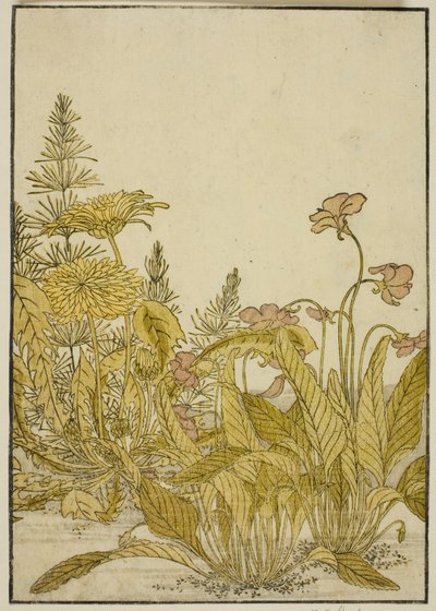 Bahar Çiçekleri: Menekşeler ve Karahindiba, "Zevk Alanlarının Güzel Kadınlarının Aynası (Seiro bijin awase sugata kagami)" kitabından, cilt. 1 by Katsukawa Shunsho