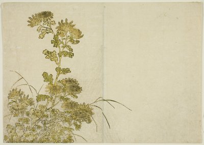 Kış Çiçekleri: Krizantemler, "Zevk Alanlarının Güzel Kadınlarının Aynası (Seiro bijin awase sugata kagami)" kitabından, cilt. 1 by Katsukawa Shunsho