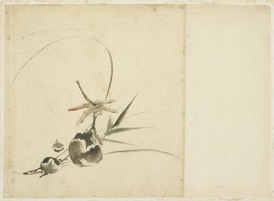 Yusufçuklu Meyve Spreyi by Katsushika (school of) Hokusai