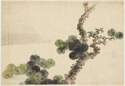 çam dalı by Katsushika (school of) Hokusai