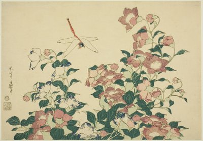 Çan Çiçeği ve Yusufçuk, isimsiz bir dizi büyük çiçekten by Katsushika Hokusai