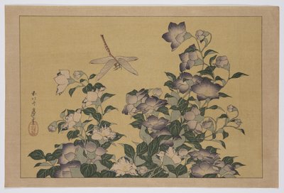 Çan çiçeği ve Yusufçuk (renkli tahta baskı) by Katsushika Hokusai