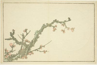 Hokusai