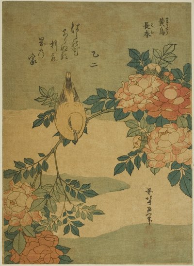 Bush Warbler ve Rose (Kocho, bara), isimsiz bir dizi çiçek ve kuştan by Katsushika Hokusai