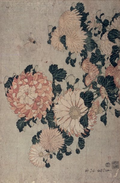 Krizantem (renkli tahta blok) by Katsushika Hokusai