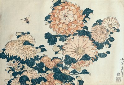 Kasımpatı (renkli tahta baskı) by Katsushika Hokusai
