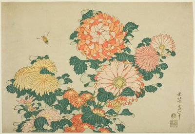 Büyük Çiçeklerin isimsiz bir serisinden Krizantem ve Arı by Katsushika Hokusai