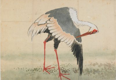 Turna, Edo dönemi, 18. yüzyılın sonu ve 19. yüzyılın başı. by Katsushika Hokusai