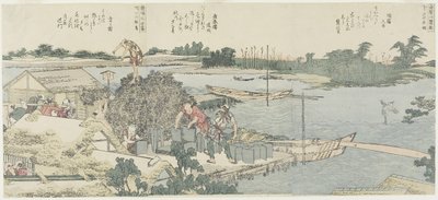 Shirahige