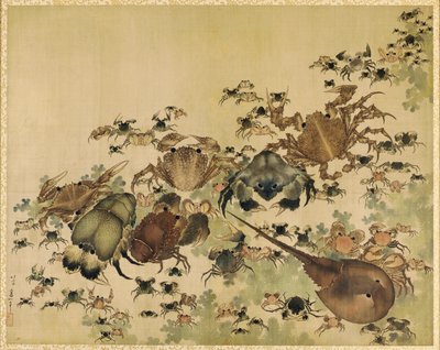 Kabuklular, Edo Dönemi c.1825 (ipek üzerine mürekkep ve renk) by Katsushika Hokusai