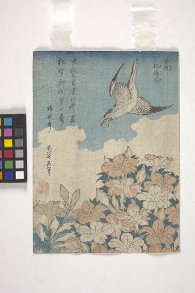 Guguk kuşu ve Açelya (renkli gravür) by Katsushika Hokusai
