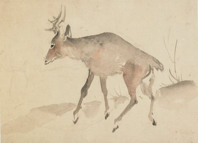 Geyik, 18. yüzyılın sonu ve 19. yüzyılın başı. by Katsushika Hokusai