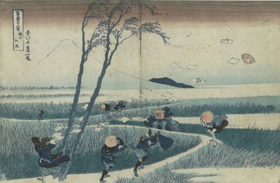 Suruga eyaletindeki Ejiri, Fuji Dağı