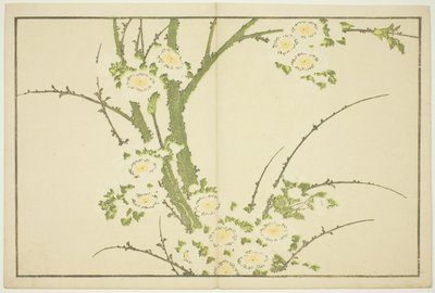 Hokusai