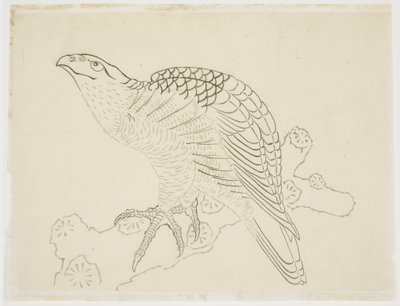 Daldaki Şahin (çalışma) by Katsushika Hokusai