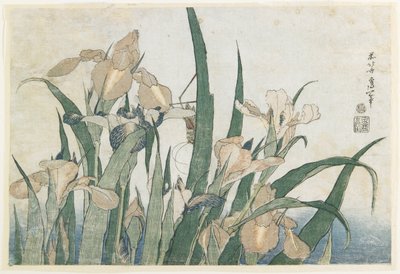 İris Çiçekleri ve Çekirge, c.1830-31 (renkli tahta baskı) by Katsushika Hokusai
