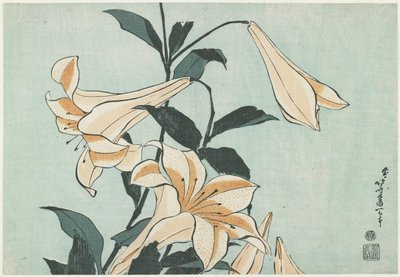 Lilyum, ç. 1832 by Katsushika Hokusai