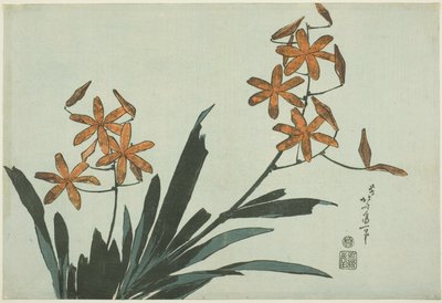 Turuncu Orkideler, isimsiz bir çiçek serisinden by Katsushika Hokusai