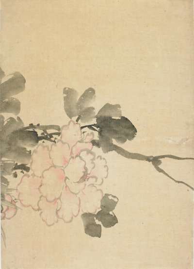 Şakayık, 18. yüzyılın sonu ve 19. yüzyılın başı. by Katsushika Hokusai