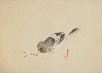 Güvercin, 18. yüzyılın sonu ve 19. yüzyılın başı. by Katsushika Hokusai