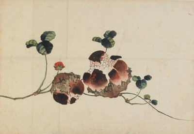Nar, 18. yüzyılın sonu ve 19. yüzyılın başı. by Katsushika Hokusai