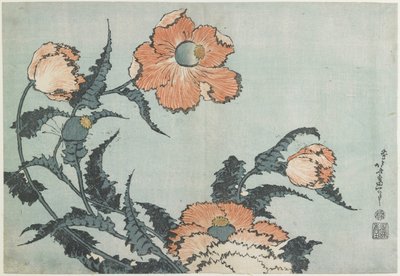 Papatya, c. 1832 by Katsushika Hokusai