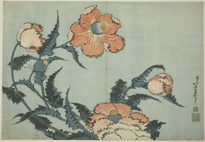 Gelincikler, isimsiz bir çiçek dizisinden by Katsushika Hokusai