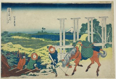 Senju Musashi P Rovinse (radikal Senju), teserie