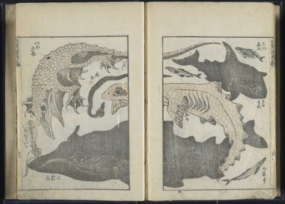 ಸ್ಕೆಚ್ಬುಕ್ (ವುಡ್ಬ್ಲಾಕ್ ಪ್ರಿಂಟ್)ಟರ್ಕ್ by Katsushika Hokusai
