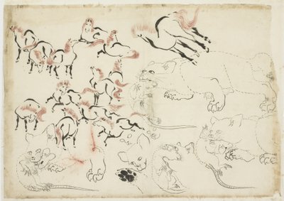 Atlar, Kediler ve Sıçanlar Çalışmaları "Hokusai Manga"), c.1815-1849 (kağıt üzerinde mürekkep ve renk) by Katsushika Hokusai