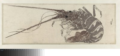 Istakoz by Katsushika Hokusai