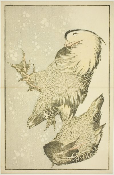 Hokusai