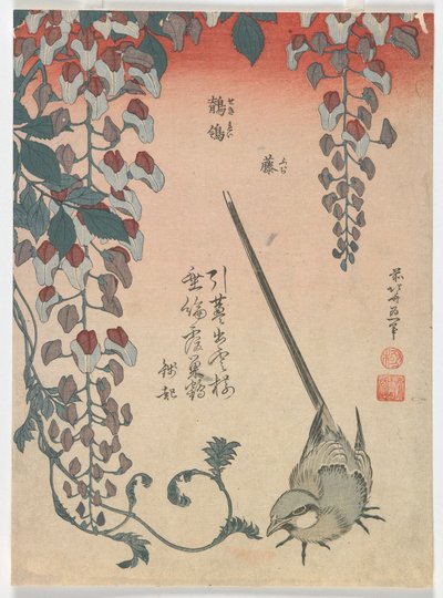Kuyruksallayan ve Wisteria, Edo dönemi, 1834 (renkli tahta baskı) by Katsushika Hokusai