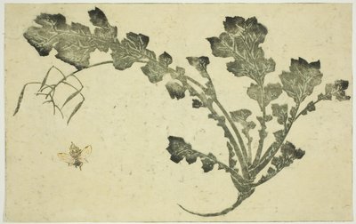 Yaban arısı ve şalgam sapı, "Hokusai