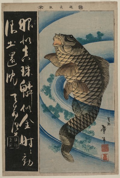 Sazan ve Su Yosunları by Katsushika Taito II