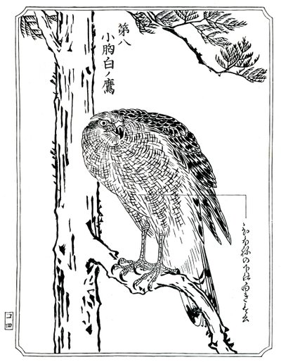 Bir şahin, 1898. by Kawanabe Kyosai