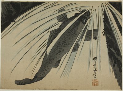 Sazan Yükselen Şelaleler by Kawanabe Kyosai