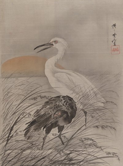 Marsh