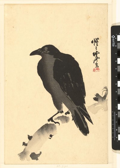 Bir ağaç gövdesinde karga by Kawanabe Kyosai