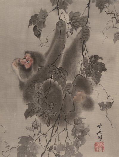 Üzüm Asmalarından Sarkan Maymun, M.Ö. 1887. by Kawanabe Kyosai