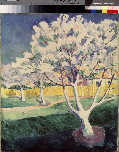 Yaz Manzarası. Kasimir Severinovich Malevich