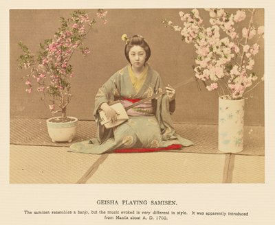 Samisen Çalan Geyşa by Kazumasa Ogawa