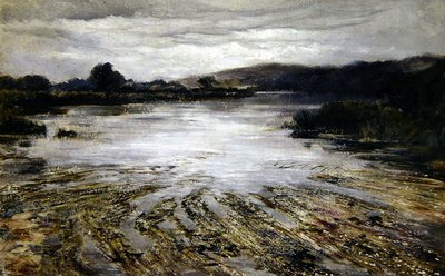 Nehir Otu (tuval üzerine yağlı boya) by Keeley Halswelle