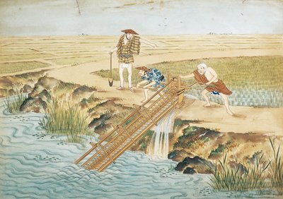 Hollanda, Leiden, Pirinç tarlalarında çalışmak by Keiga Kawahara