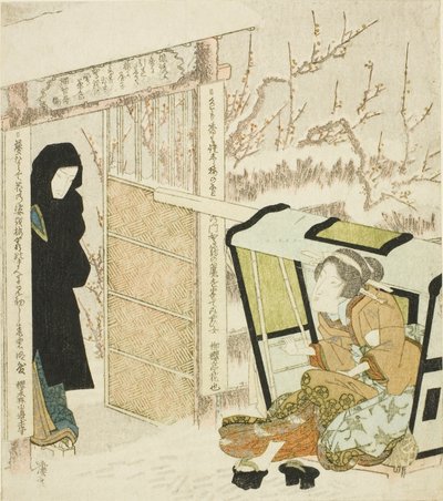 Nezaket Bir Palanquin